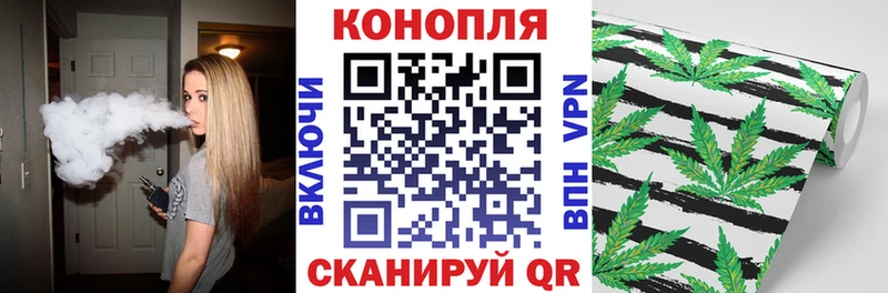 Бошки марихуана индика  Рубцовск 