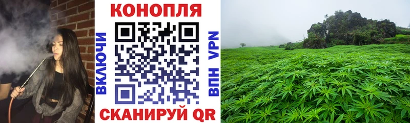 Шишки марихуана тримм Рубцовск